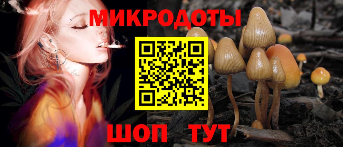 Отрадное  Псилоцибиновые грибы мицелий  Галлюциногенные грибы мицелий  Вход с VPN 